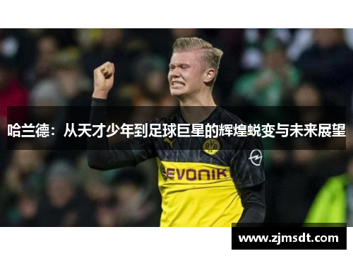 哈兰德：从天才少年到足球巨星的辉煌蜕变与未来展望