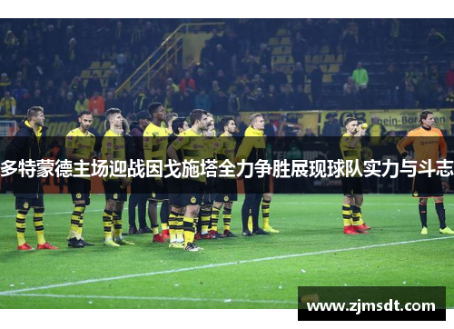 多特蒙德主场迎战因戈施塔全力争胜展现球队实力与斗志