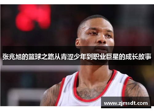 张兆旭的篮球之路从青涩少年到职业巨星的成长故事